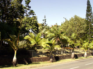 Arboretum Entre-Deux La Réunion.