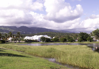 Ancien marais salant étang-salé La Réunion.