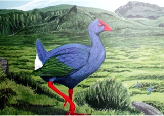 Porphyrio coerulescens. Oiseau bleu