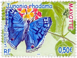 Papillon : Junonia rhadama