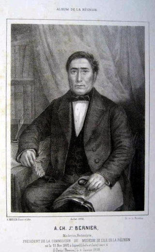 A. Ch. Jh. Bernier, Médecin, Botaniste.