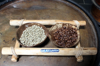 Coffea arabica var. laurina. Bourbon pointu.
