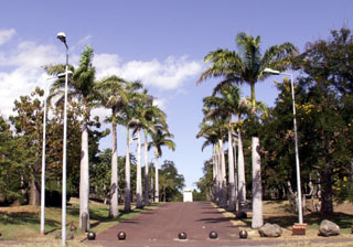 Parc boisé Ville du Port La Réunion..