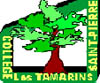 Collège Les Tamarins