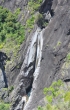 Canyon Fleur Jaune cilaos La Réunion.