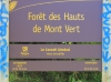 Forêt des Hauts de Mont-Vert La Réunion.