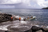 Canot et pêcheurs Anse des cascades Sainte-Rose