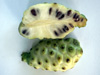 Coupe du fruit : Noni, nono, malaye, Mûrier indien - Morinda citrifolia L.