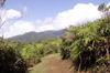 Paysage du Sentier de l'Eden Bras-Panon La Réunion