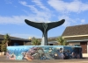 Aquarium de La Réunion Saint-Gilles.