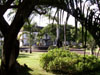 Jardin Hôtel de ville de Saint-Pierre île de La Réunion