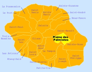 Carte de la commune de La Plaine des Palmistes La Réunion