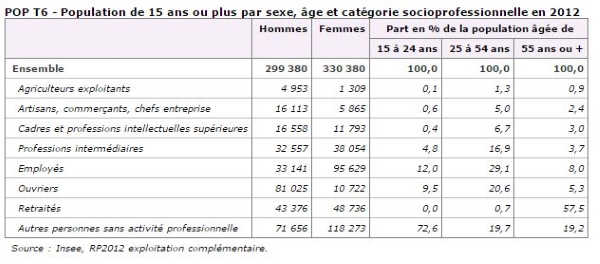 Population catégorie socioprofessionnelle de La Réunion.