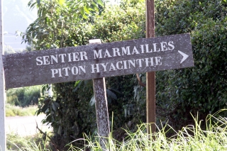 Sentier marmailles Piton Hyacinthe.