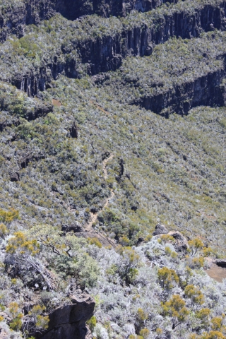 Sentier Mouton La Réunion.