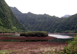 Grand-étang La Réunion.