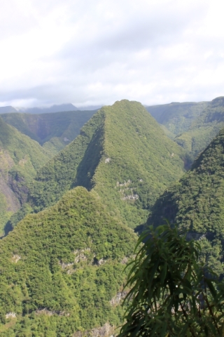 Piton Dorseuil 734 m vallée de Takamaka La Réunion.
