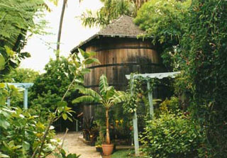 Jardin d'eden l'hermitage saint-gilles île de La Réunion