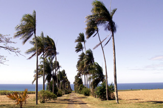 Domaine du Grand Hazier Sainte-Suzanne île de La Réunion