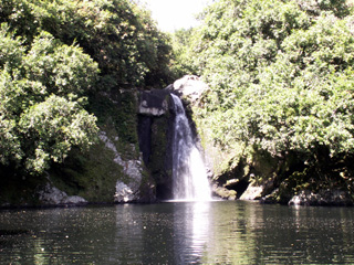 Bassin Boeuf et sa cascade La Réunion