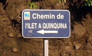 Îlet quinquina La Réunion